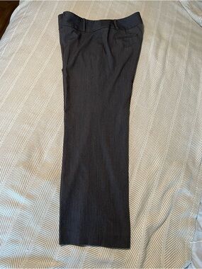 Raphaella Ladies Gray Dress Pants 14P